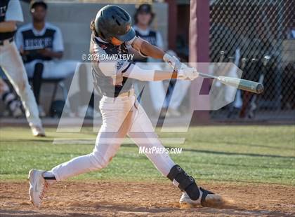 Thumbnail 2 in Basha @ Hamilton photogallery.