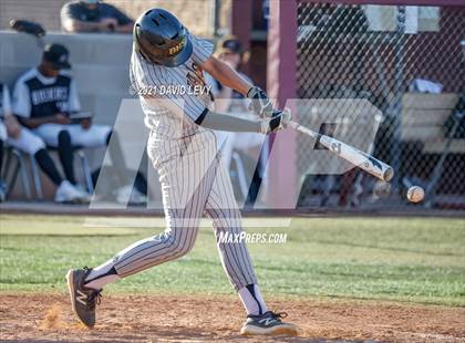 Thumbnail 2 in Basha @ Hamilton photogallery.