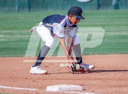 Thumbnail 2 in Basha @ Hamilton photogallery.