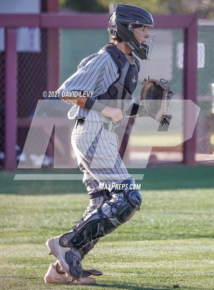 Thumbnail 1 in Basha @ Hamilton photogallery.