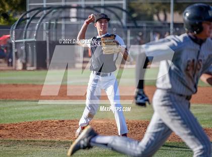 Thumbnail 3 in Basha @ Hamilton photogallery.