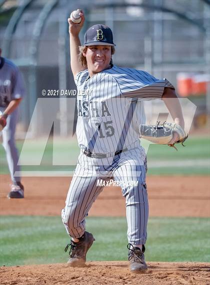 Thumbnail 3 in Basha @ Hamilton photogallery.