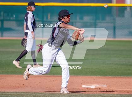 Thumbnail 1 in Basha @ Hamilton photogallery.