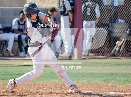 Thumbnail 2 in Basha @ Hamilton photogallery.