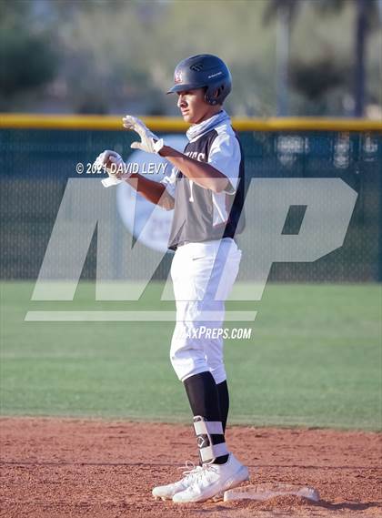 Thumbnail 3 in Basha @ Hamilton photogallery.