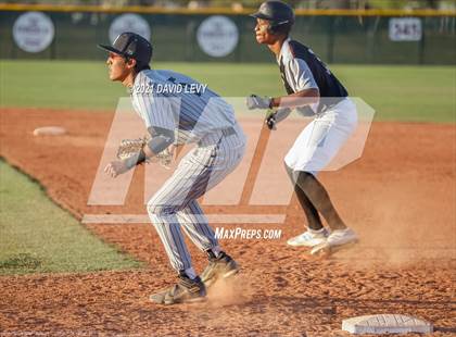 Thumbnail 1 in Basha @ Hamilton photogallery.