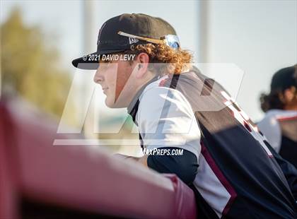 Thumbnail 2 in Basha @ Hamilton photogallery.