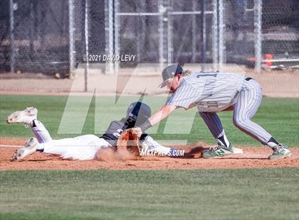 Thumbnail 3 in Basha @ Hamilton photogallery.