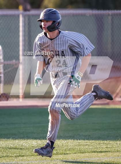 Thumbnail 3 in Basha @ Hamilton photogallery.