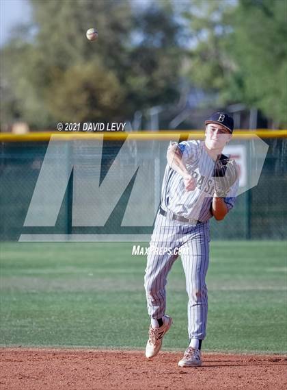 Thumbnail 3 in Basha @ Hamilton photogallery.