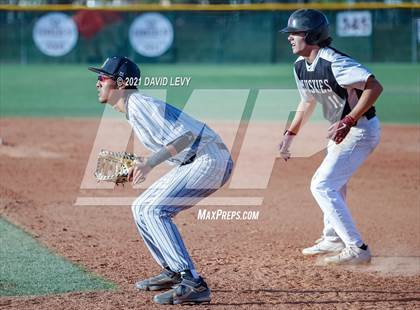 Thumbnail 2 in Basha @ Hamilton photogallery.