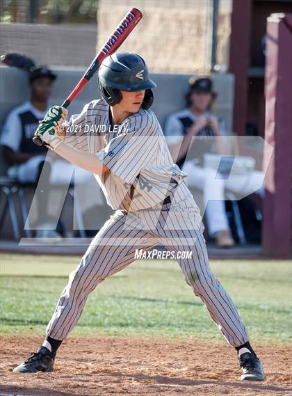 Thumbnail 3 in Basha @ Hamilton photogallery.