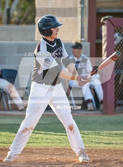 Thumbnail 2 in Basha @ Hamilton photogallery.