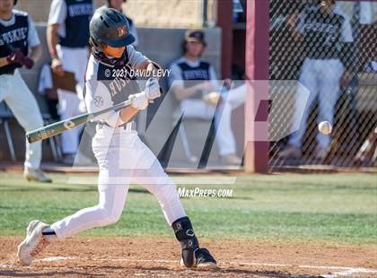 Thumbnail 3 in Basha @ Hamilton photogallery.