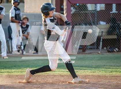 Thumbnail 2 in Basha @ Hamilton photogallery.