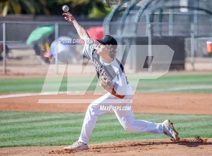 Thumbnail 2 in Basha @ Hamilton photogallery.
