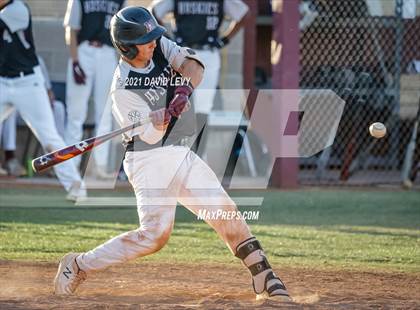 Thumbnail 1 in Basha @ Hamilton photogallery.