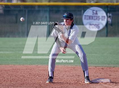Thumbnail 3 in Basha @ Hamilton photogallery.