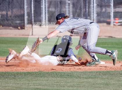 Thumbnail 1 in Basha @ Hamilton photogallery.