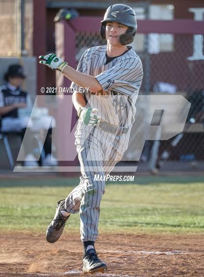 Thumbnail 2 in Basha @ Hamilton photogallery.