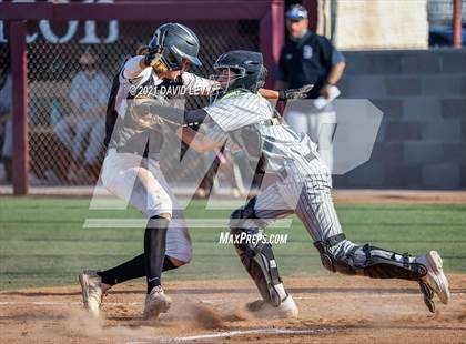 Thumbnail 3 in Basha @ Hamilton photogallery.