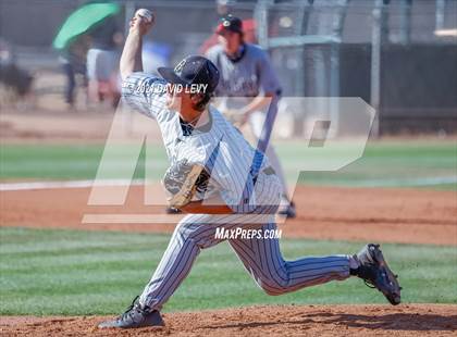 Thumbnail 3 in Basha @ Hamilton photogallery.