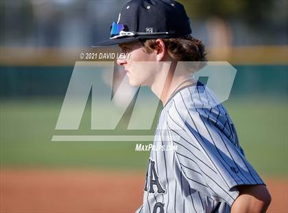 Thumbnail 3 in Basha @ Hamilton photogallery.