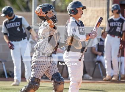 Thumbnail 1 in Basha @ Hamilton photogallery.