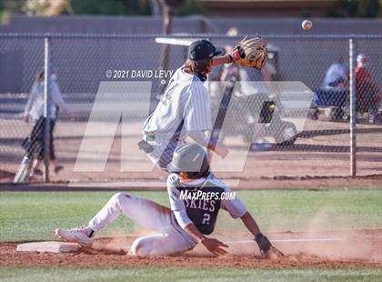 Thumbnail 2 in Basha @ Hamilton photogallery.