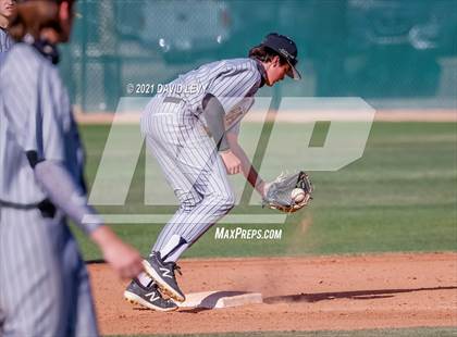 Thumbnail 2 in Basha @ Hamilton photogallery.