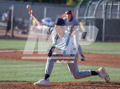 Thumbnail 2 in Basha @ Hamilton photogallery.