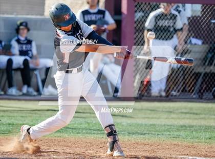 Thumbnail 3 in Basha @ Hamilton photogallery.
