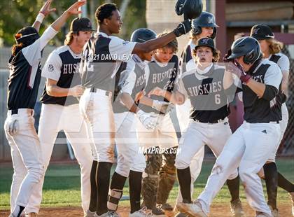 Thumbnail 2 in Basha @ Hamilton photogallery.