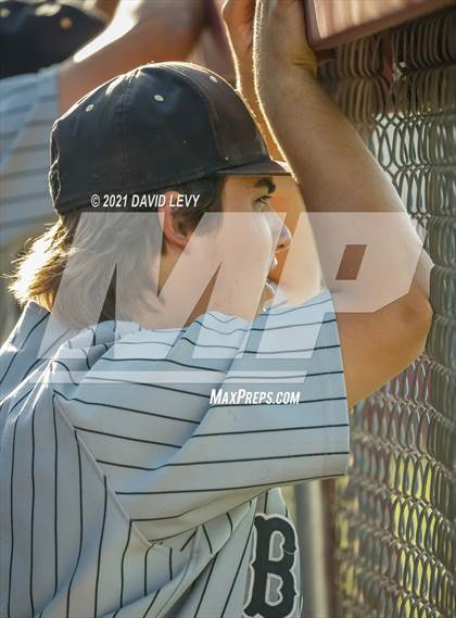 Thumbnail 2 in Basha @ Hamilton photogallery.