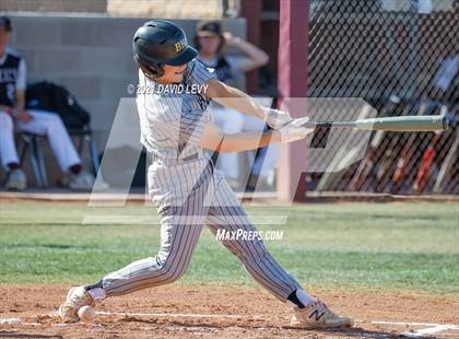 Thumbnail 2 in Basha @ Hamilton photogallery.