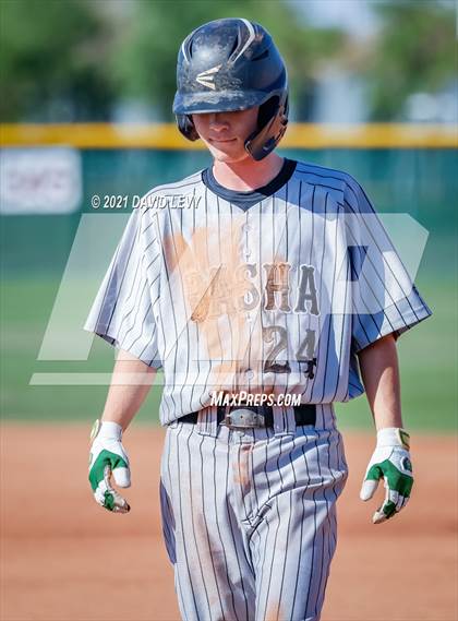 Thumbnail 3 in Basha @ Hamilton photogallery.