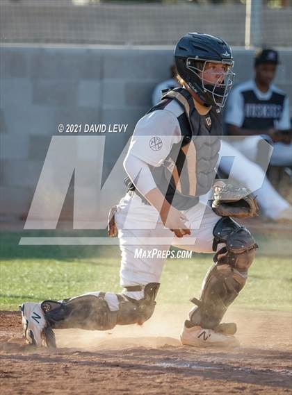 Thumbnail 3 in Basha @ Hamilton photogallery.