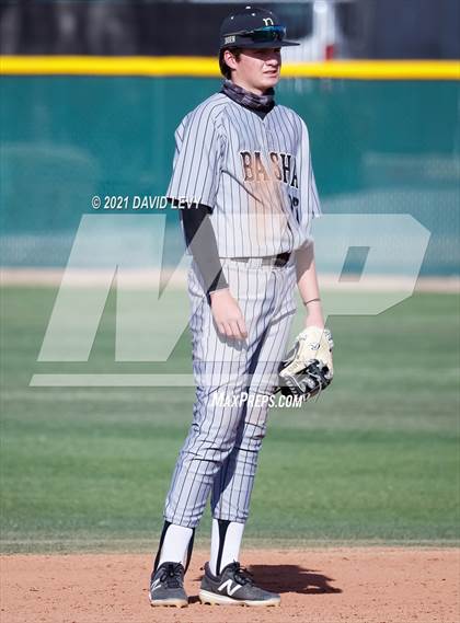Thumbnail 1 in Basha @ Hamilton photogallery.