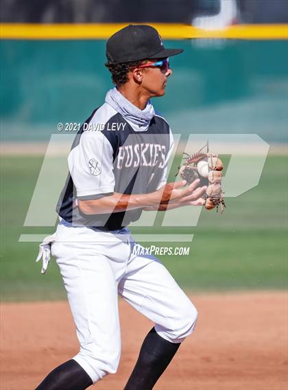 Thumbnail 2 in Basha @ Hamilton photogallery.