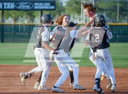 Thumbnail 2 in Basha @ Hamilton photogallery.