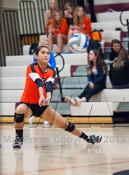 Thumbnail 1 in Lewis-Palmer @ Ponderosa photogallery.