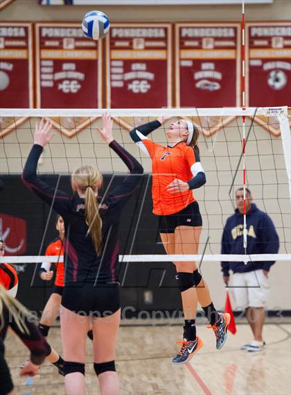 Thumbnail 3 in Lewis-Palmer @ Ponderosa photogallery.