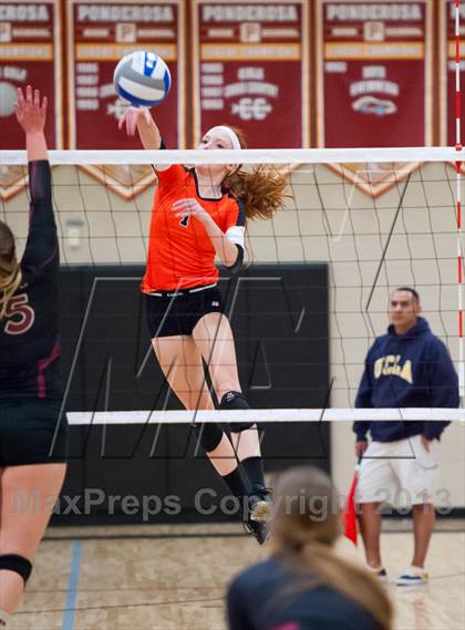 Thumbnail 1 in Lewis-Palmer @ Ponderosa photogallery.