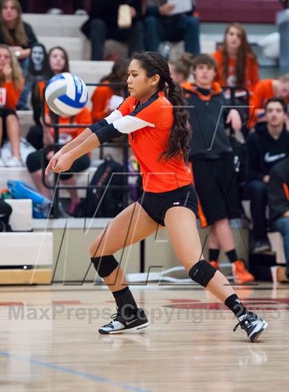 Thumbnail 1 in Lewis-Palmer @ Ponderosa photogallery.