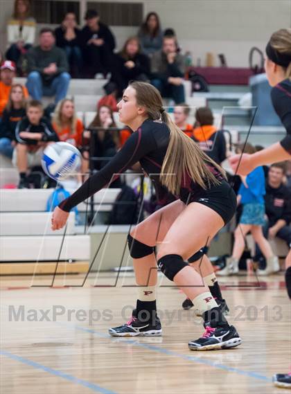Thumbnail 3 in Lewis-Palmer @ Ponderosa photogallery.