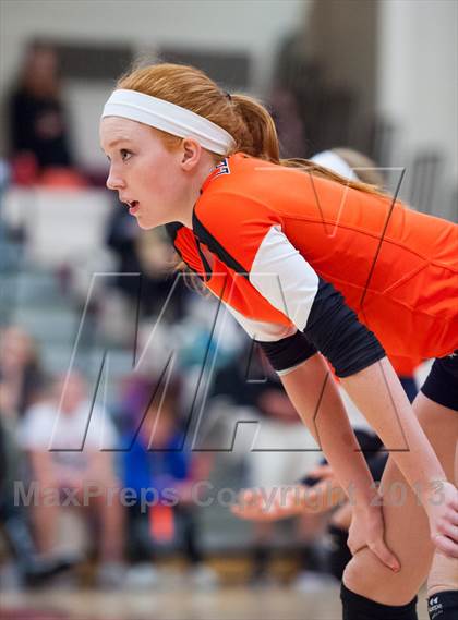Thumbnail 3 in Lewis-Palmer @ Ponderosa photogallery.
