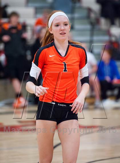 Thumbnail 3 in Lewis-Palmer @ Ponderosa photogallery.