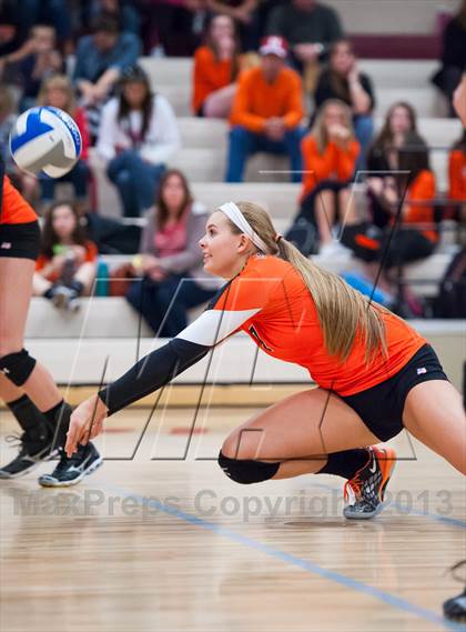 Thumbnail 3 in Lewis-Palmer @ Ponderosa photogallery.