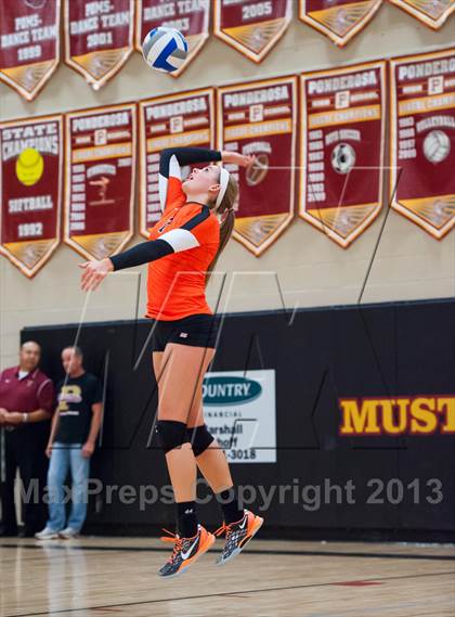 Thumbnail 3 in Lewis-Palmer @ Ponderosa photogallery.