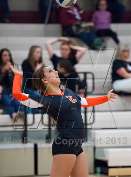 Thumbnail 1 in Lewis-Palmer @ Ponderosa photogallery.